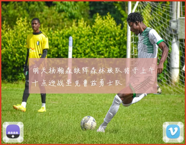 明天杨瀚森缺阵森林狼队将于上午十点迎战圣克鲁兹勇士队