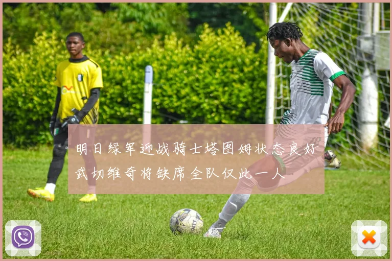 明日绿军迎战骑士塔图姆状态良好武切维奇将缺席全队仅此一人